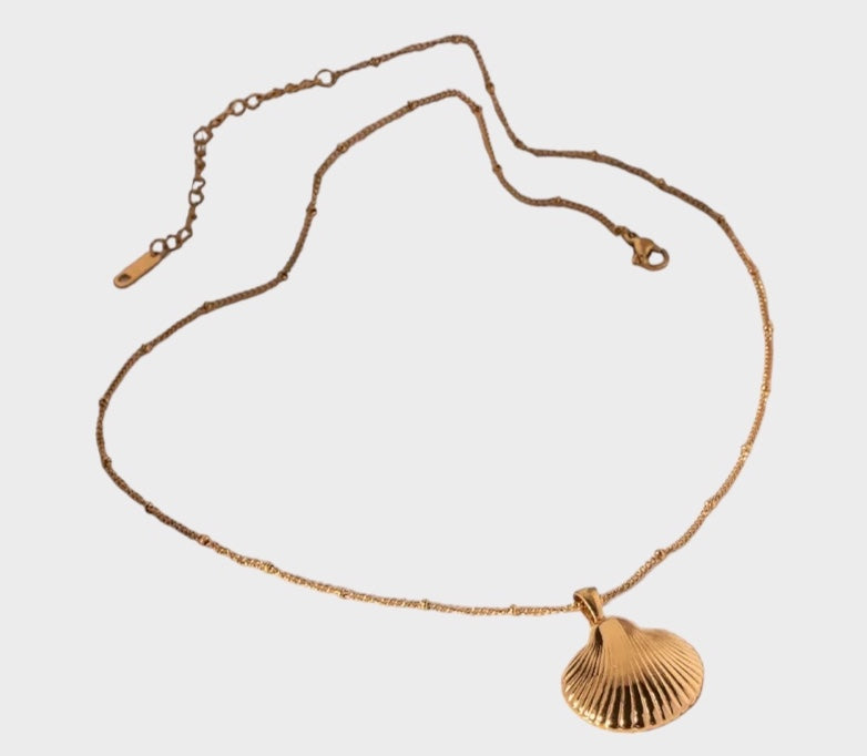 Seashell necklace